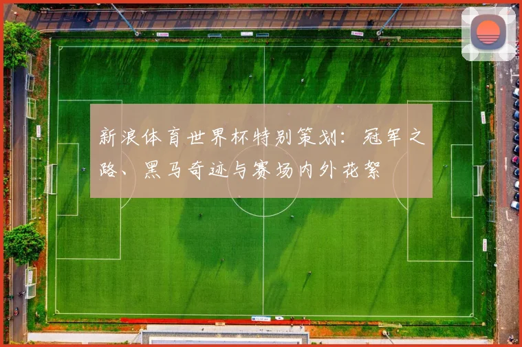 新浪体育世界杯特别策划：冠军之路、黑马奇迹与赛场内外花絮