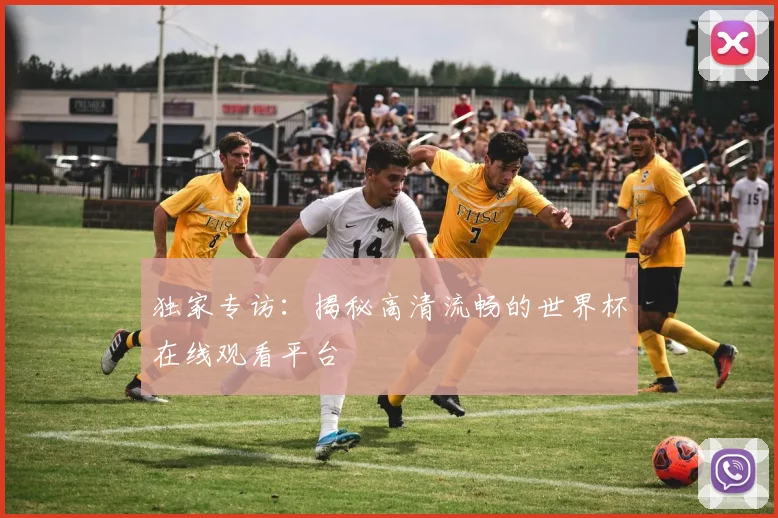 独家专访:揭秘高清流畅的世界杯在线观看平台