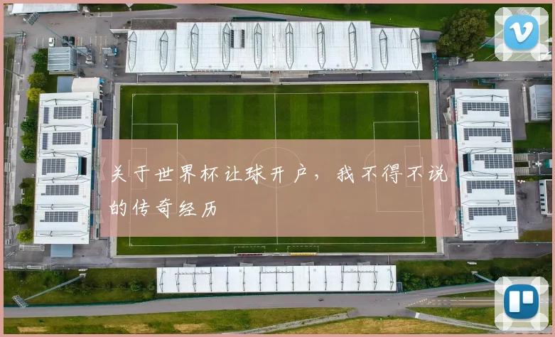 关于世界杯让球开户,我不得不说的传奇经历