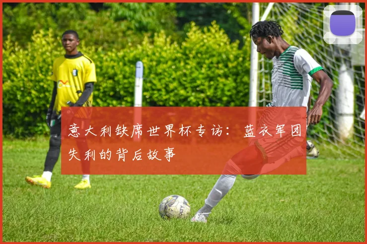意大利缺席世界杯专访:蓝衣军团失利的背后故事