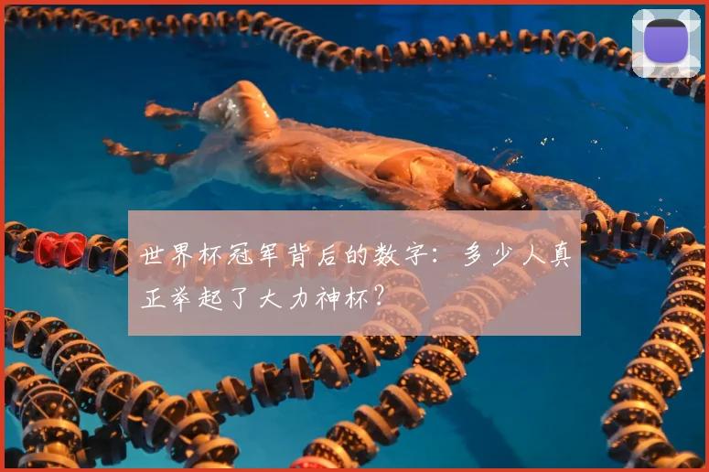 世界杯冠军背后的数字：多少人真正举起了大力神杯？