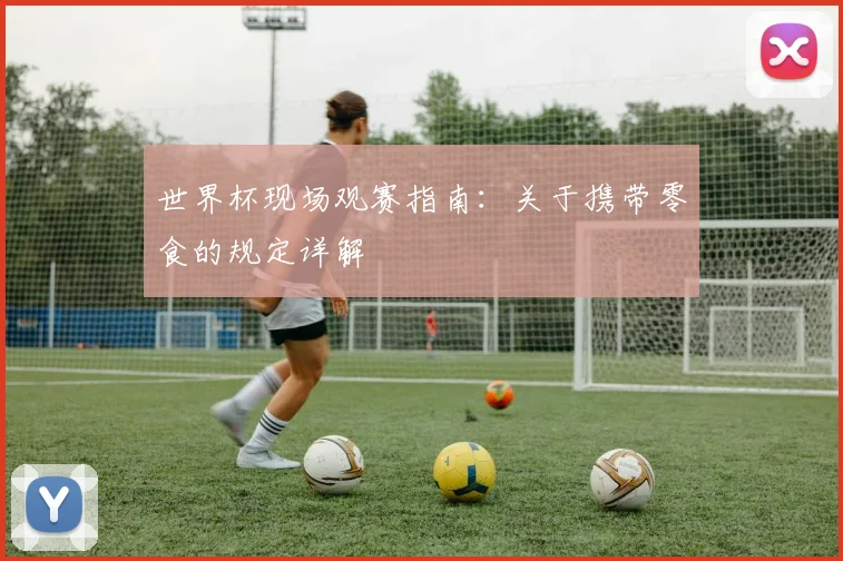 世界杯现场观赛指南:关于携带零食的规定详解